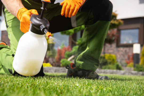 Best Pest Removal Services  in Gainesville, TX