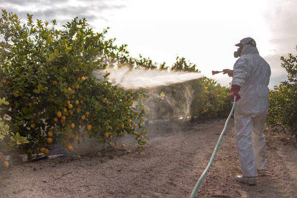 Gainesville, TX Pest Control Company