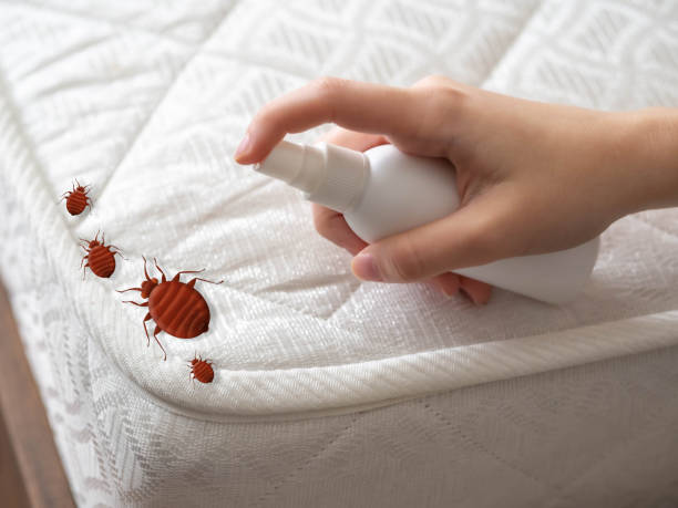 Gainesville, TX Pest Control Company