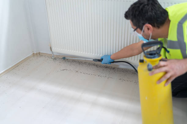 Best Mosquito Control Services  in Gainesville, TX