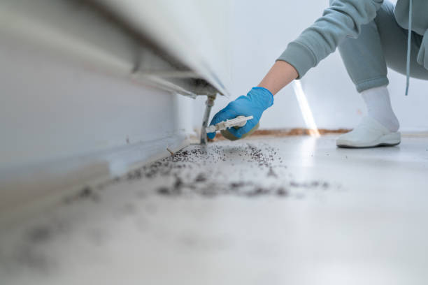 Best Pest Control Near Me in Gainesville, TX